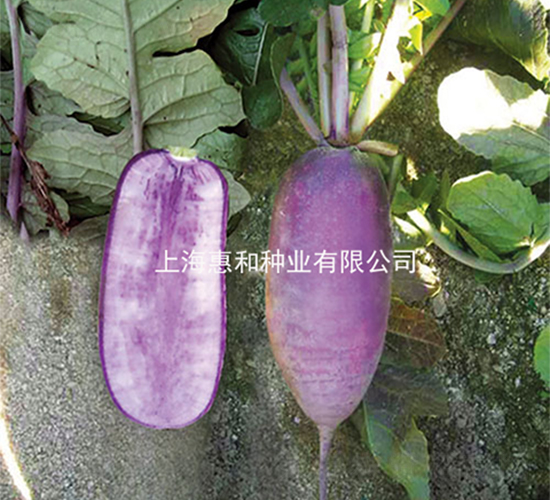 ������-�}���N��-�ݺͷN�I(y��)