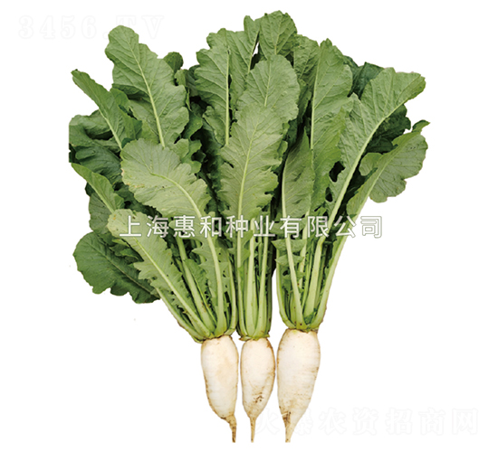 �f(w��n)�G-�}���N��-�ݺͷN�I(y��)