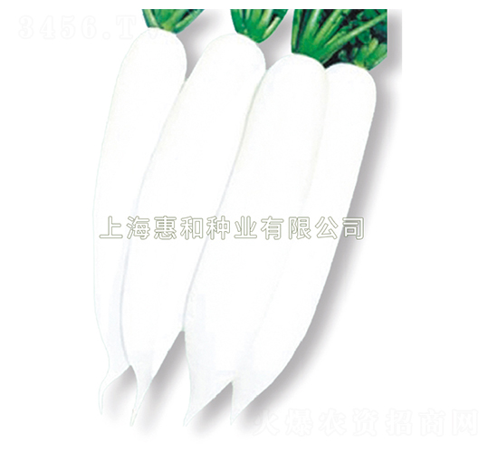 ��ѩ-�}���N��-�ݺͷN�I(y��)