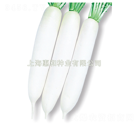 ����-�}���N��-�ݺͷN�I(y��)