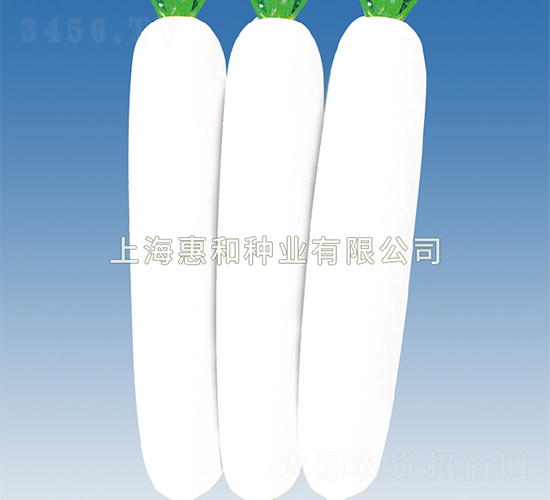 ����ʹ-�}���N��-�ݺͷN�I(y��)