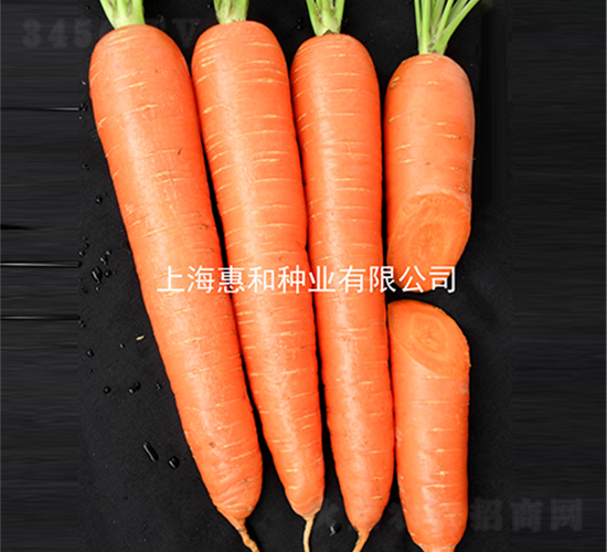 ϲ�S��̖(h��o)-���}���N��-�ݺͷN�I(y��)