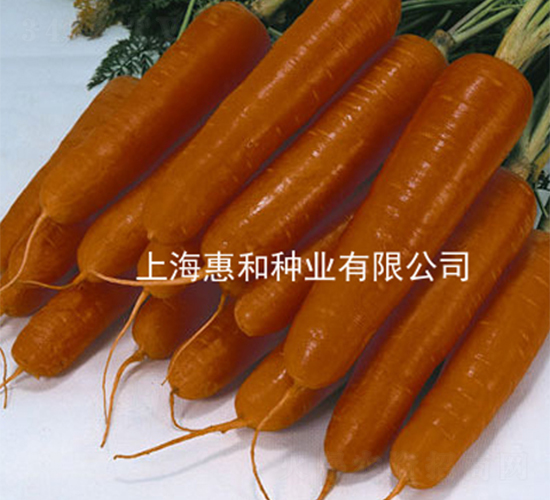 �tʥ��̖-���}���N��-�ݺͷN�I(y��)