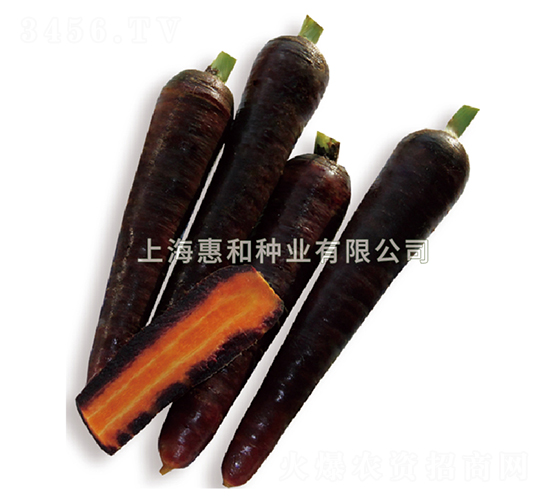 ����-���}���N��-�ݺͷN�I(y��)