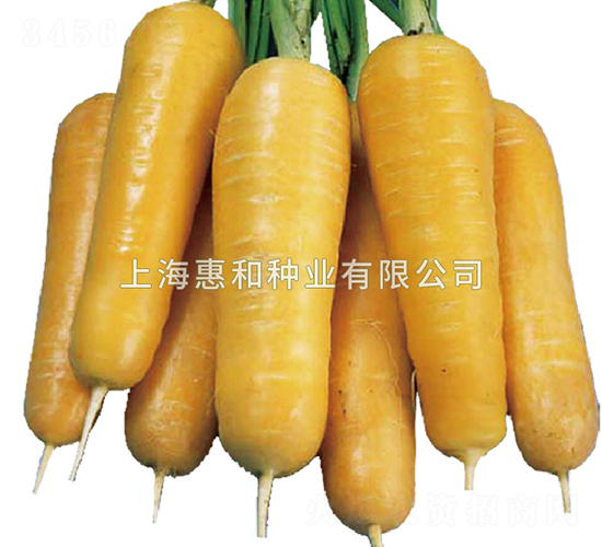 ����EX-���}���N��-�ݺͷN�I(y��)