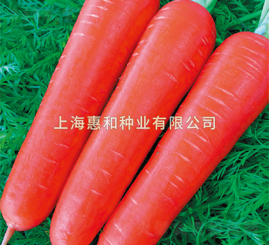 �S˹-���}���N��-�ݺͷN�I(y��)