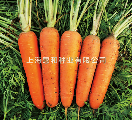 ِ�t-���}���N��-�ݺͷN�I(y��)