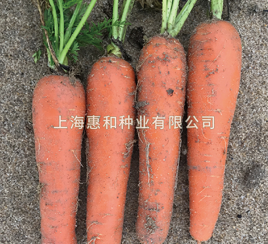 �tʥ��̖(h��o)-���}���N��-�ݺͷN�I(y��)