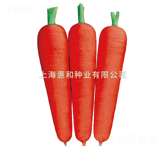 �_��˹һ̖-���}���N��-�ݺͷN�I(y��)