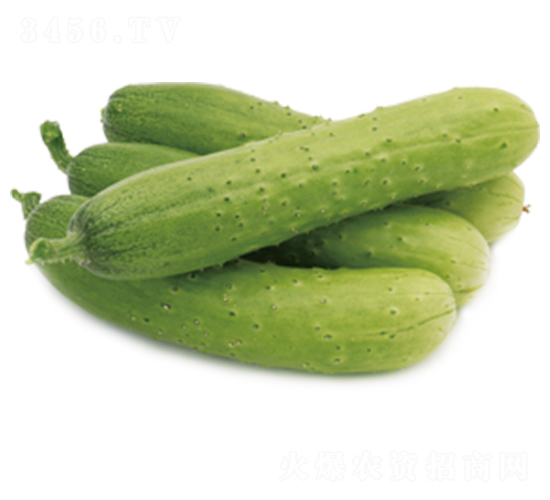 �G��2̖-�S�ϷN��-ɽ�|��Դ