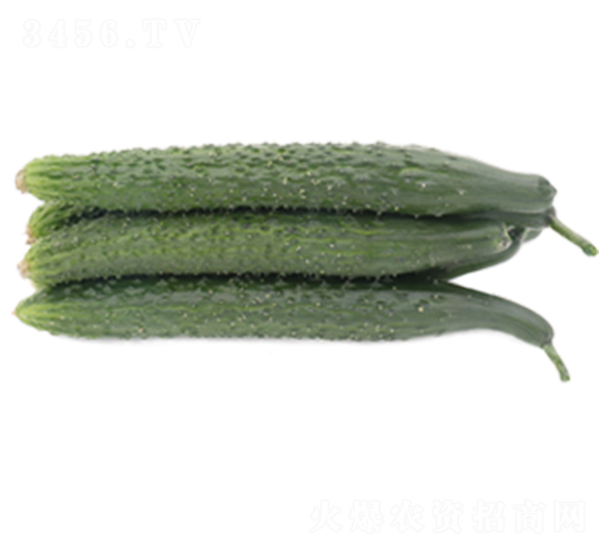 �G��6̖-�S�ϷN��-ɽ�|��Դ