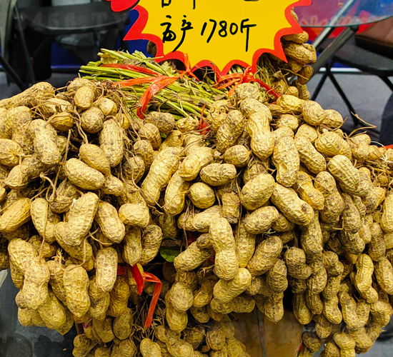 香牛花1號花生種子