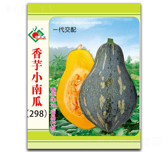香芋小南瓜（298）-南瓜種子-豐裕農(nóng)業(yè)