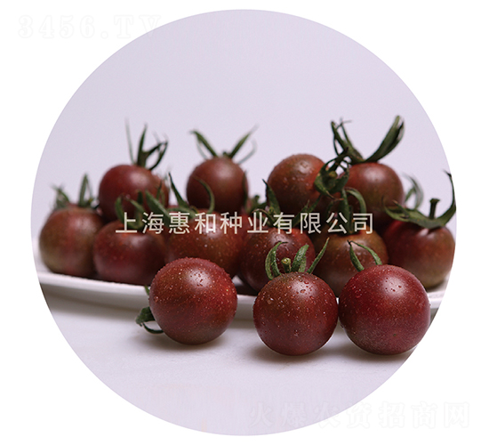 �������̖-С���ѷN��-�ݺͷN�I(y��)