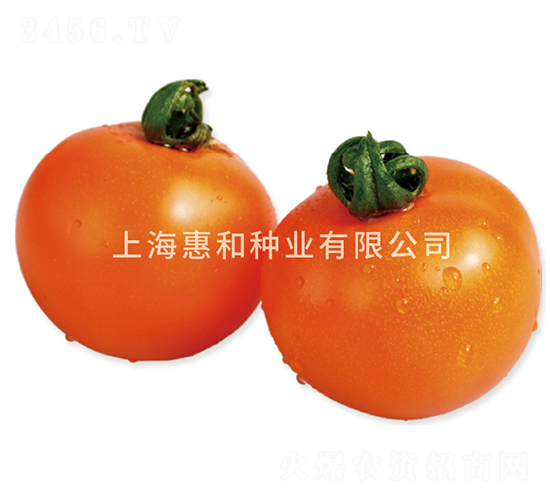 �SСѾ-С���ѷN��-�ݺͷN�I(y��)