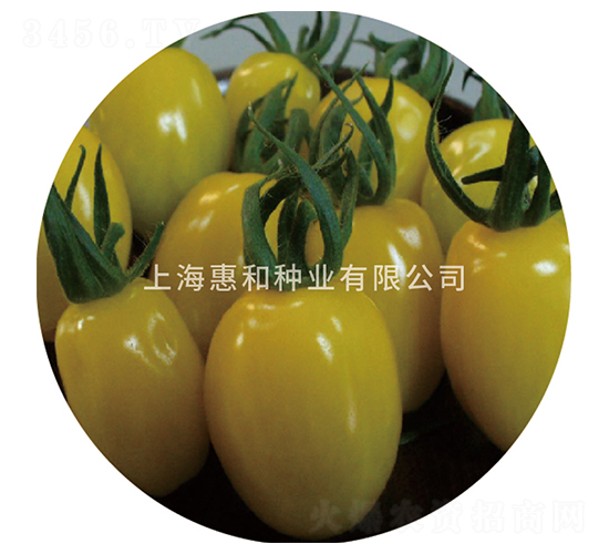 �S����-С���ѷN��-�ݺͷN�I(y��)