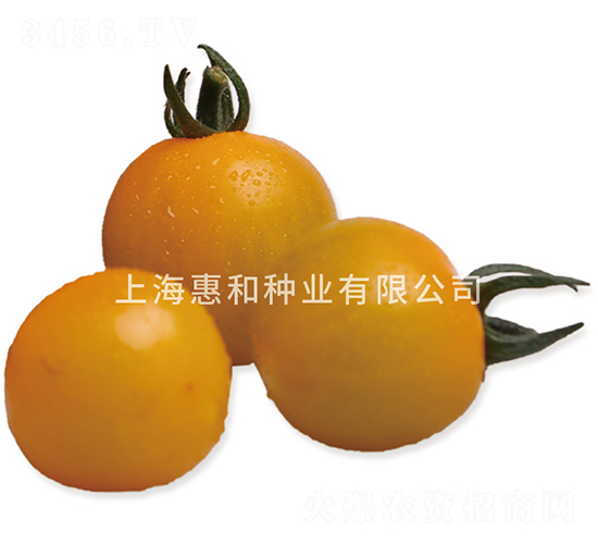 �S�ڶ�̖(h��o)-С���ѷN��-�ݺͷN�I(y��)