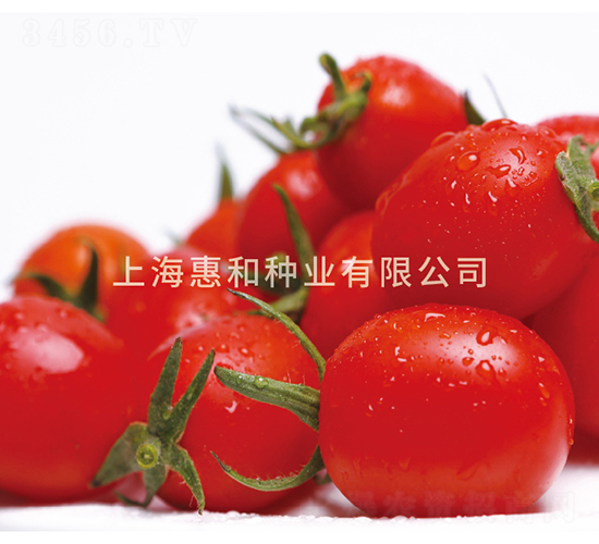 �n��601-С���ѷN��-�ݺͷN�I(y��)