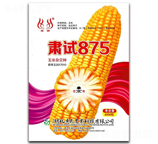 肅試875-玉米種子-惠民農(nóng)業(yè)