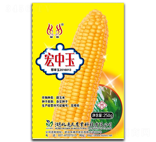 宏中玉-玉米種子-惠民農(nóng)業(yè)
