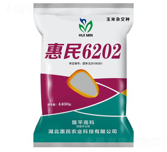 惠民6202-玉米種子-惠民農(nóng)業(yè)