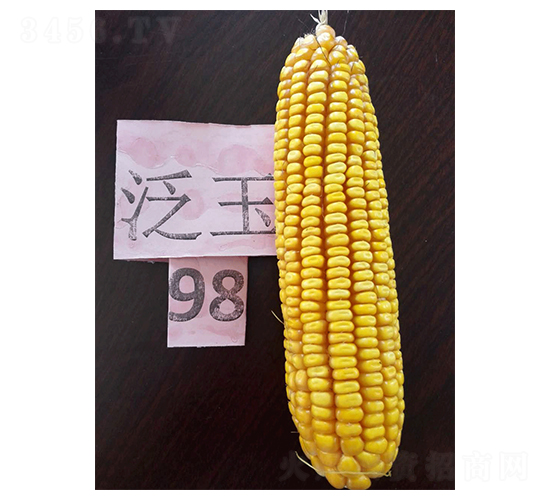 泛玉98-玉米種子-地神種業(yè)