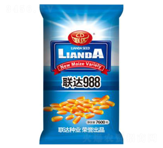 聯(lián)達988-玉米種子-聯(lián)達種業(yè)