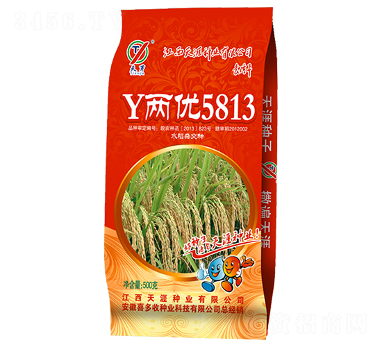 Y兩優(yōu)5813-水稻種子-喜多收