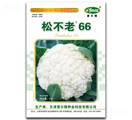 �ɲ���66-�ɻ��˷N��-�ݠ���