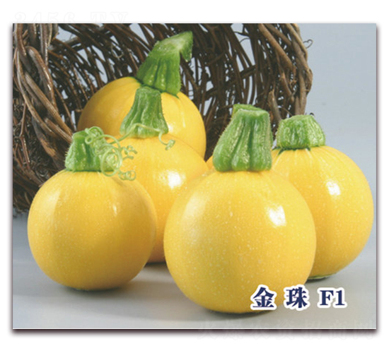 ����F1-�����J�N��-ʥ�A���S