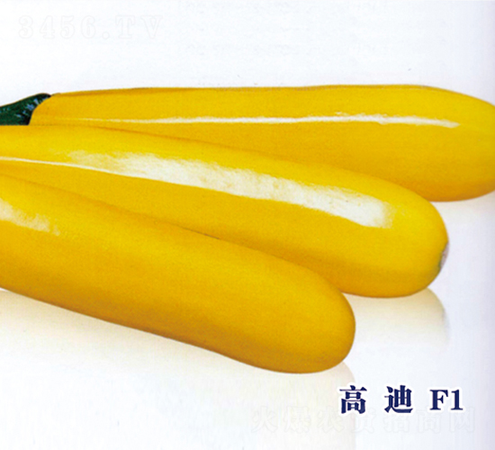 �ߵ�F1-�����J�N��-ʥ�A���S