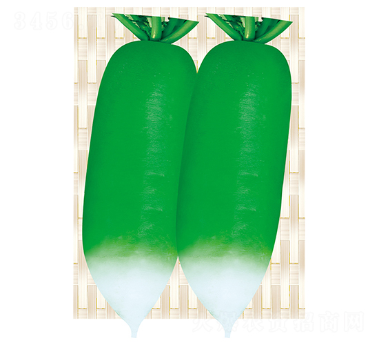 ƽ�S��̖-�}���N��-ƽ�S�N�I(y��)