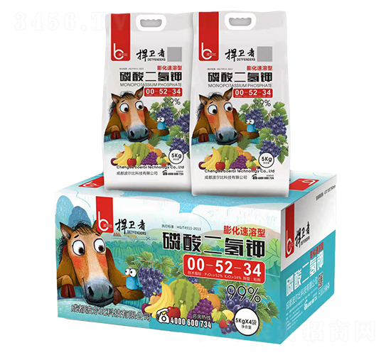 ��������00-52-34-���l(w��i)��-������