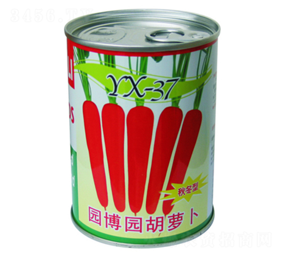 �@���@-���}���N��-���d��