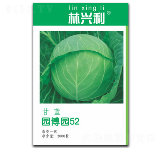 �@���@52-���{�N��-���d��