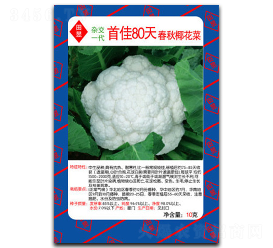 �׼�80-��Ҭ�˷N��-���d��