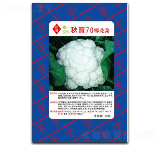 �70-��Ҭ�˷N��-���d��