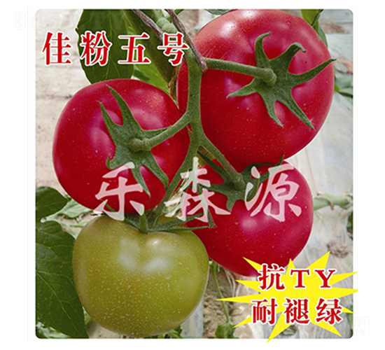 �ѷ���̖(h��o)-���ѷN��-��ɭԴ