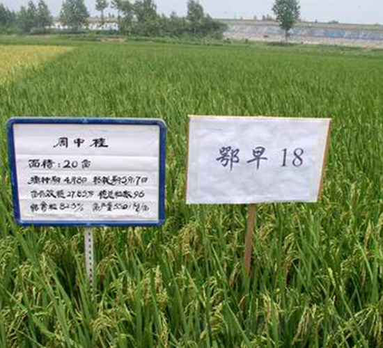 ����18-ˮ���N��-���r(n��ng)�l(f��)