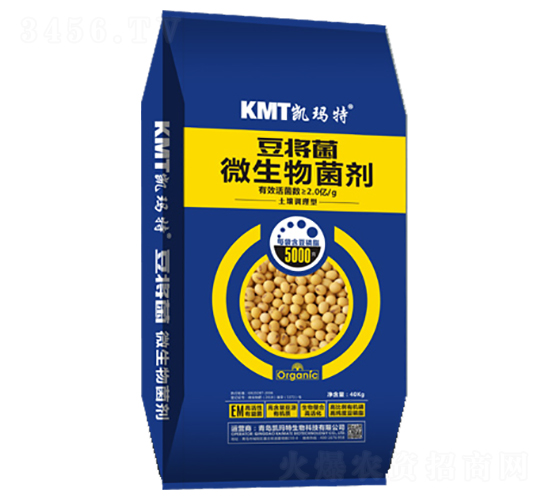 ΢�������-������-�P����