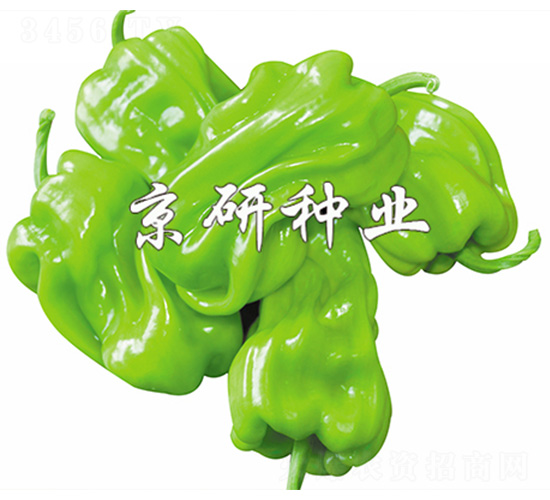 ��Ƥ2̖(h��o)-�����N��-����