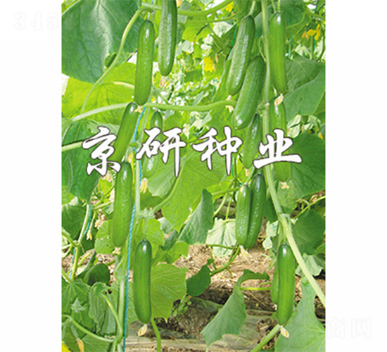 ��������7̖(h��o)-�S�ϷN��-����