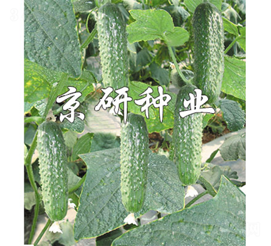 ������n��90-�S�ϷN��-����