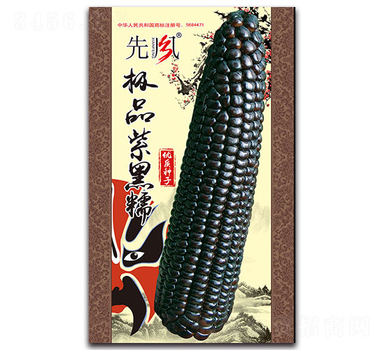 極品紫黑糯-糯玉米種子-先風