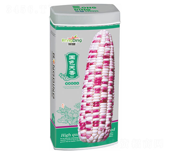 國(guó)色天香-糯玉米種子-先風(fēng)