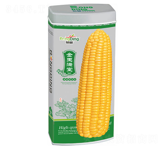 金玉滿堂-糯玉米種子-先風(fēng)