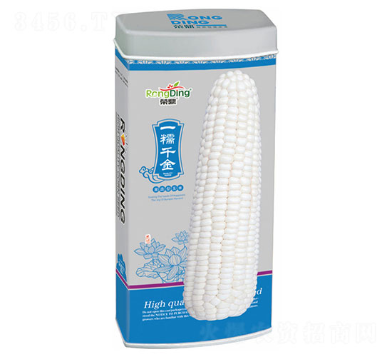 一糯千金-糯玉米種子-先風(fēng)