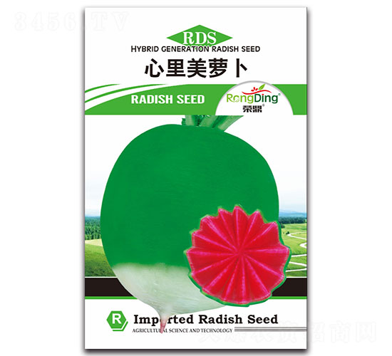 �������}��-�}���N��-���L