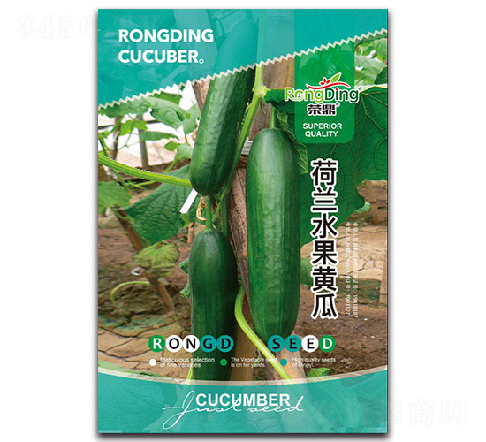 荷蘭水果黃瓜-黃瓜種子-先風(fēng)