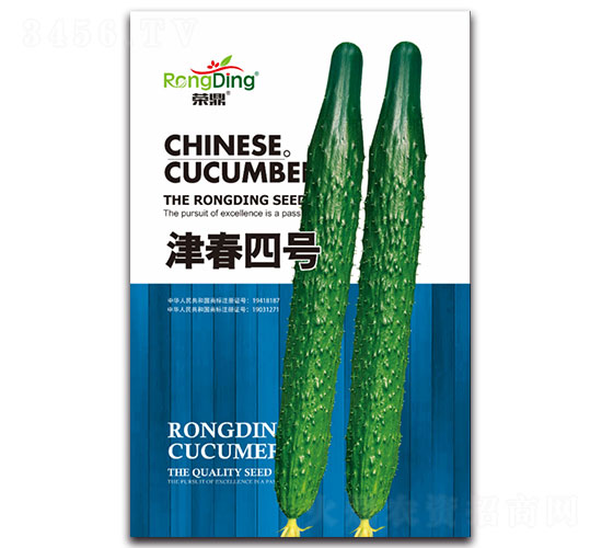 津春四號-黃瓜種子-先風(fēng)